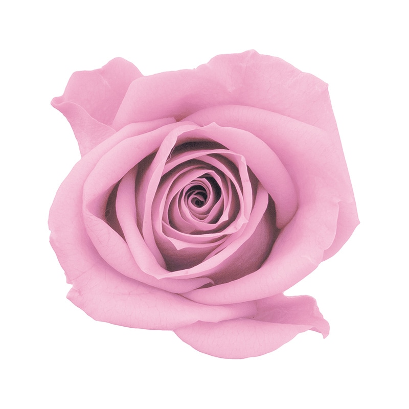 クリスタルピンク