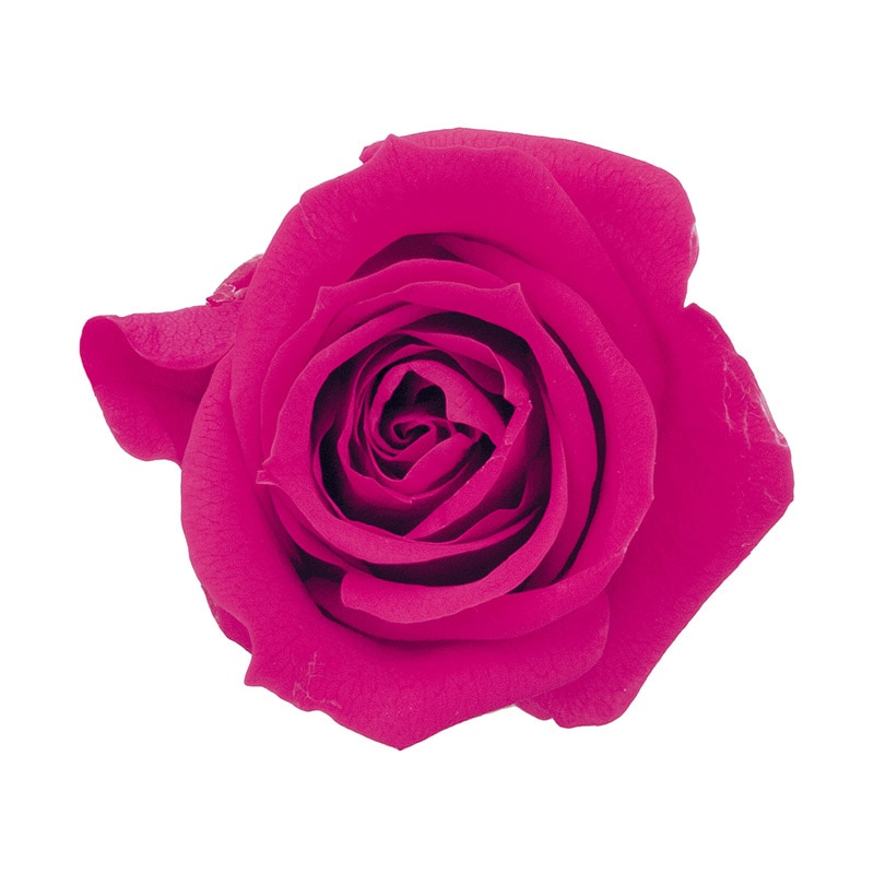 フランボワーズ