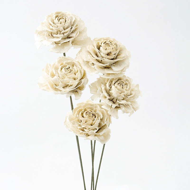 大地農園 ハンドメイドフラワー シダローズ 30080-010　オフホワイト 1束（ご注文単位1束）【直送品】