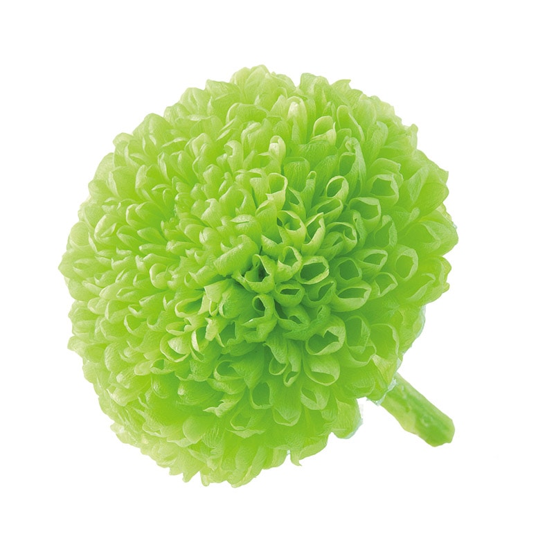 大地農園 プリザーブドフラワー ポンポン菊 ミディ 02646-700 グリーン 1箱(ご注文単位1箱)【直送品】