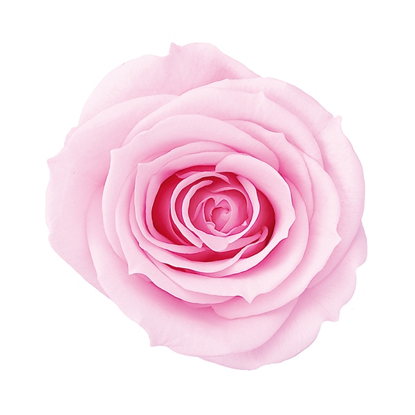 シャーベットピンク