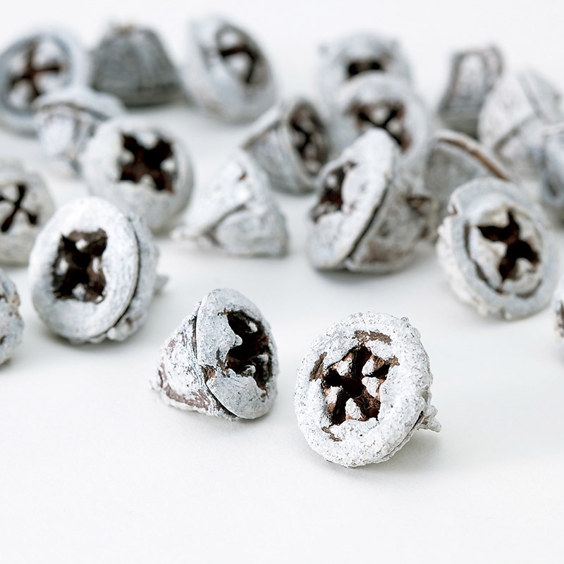 大地農園 木の実ミックス ユーカリの実 24800-982 スノー 1パック(ご注文単位1パック)【直送品】