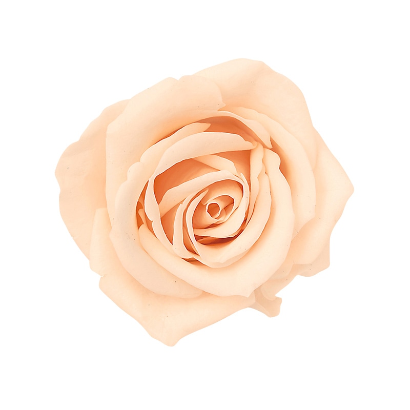 クリーミーピーチ