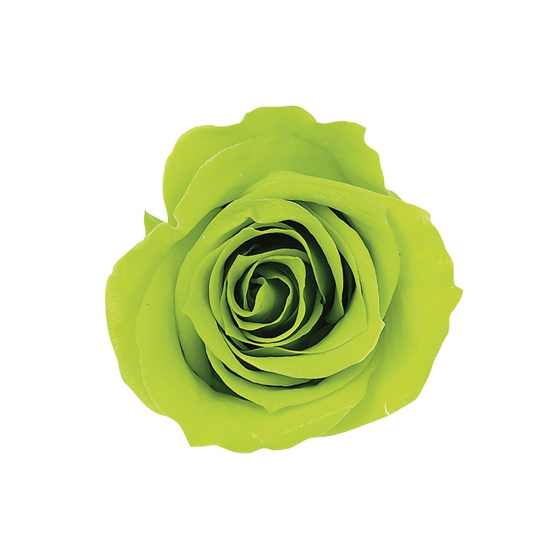 ライトグリーン