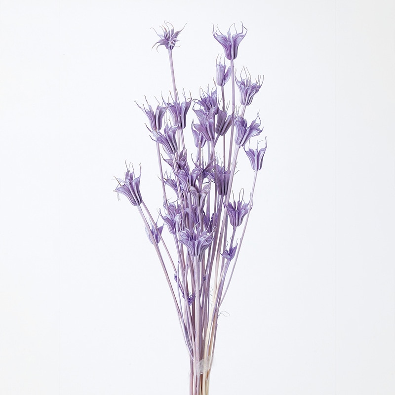 大地農園 カラードライフラワー ニゲラオリエンタリス 10380-411 ライトパープル 1束(ご注文単位1束)【直送品】