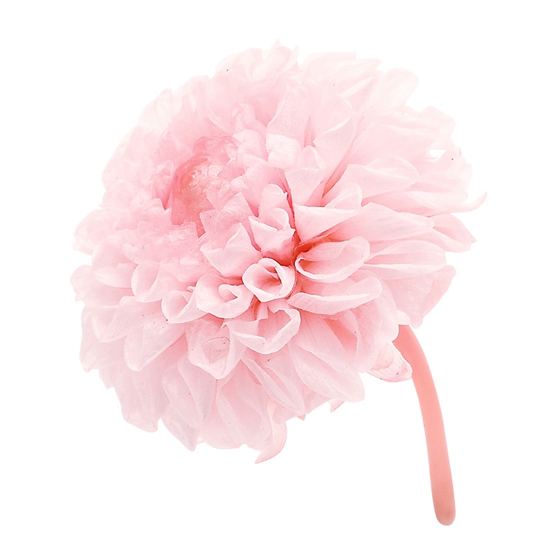 大地農園 プリザーブドフラワー ミニダリア 04671-102 シャーベットピンク 1箱(ご注文単位1箱)【直送品】