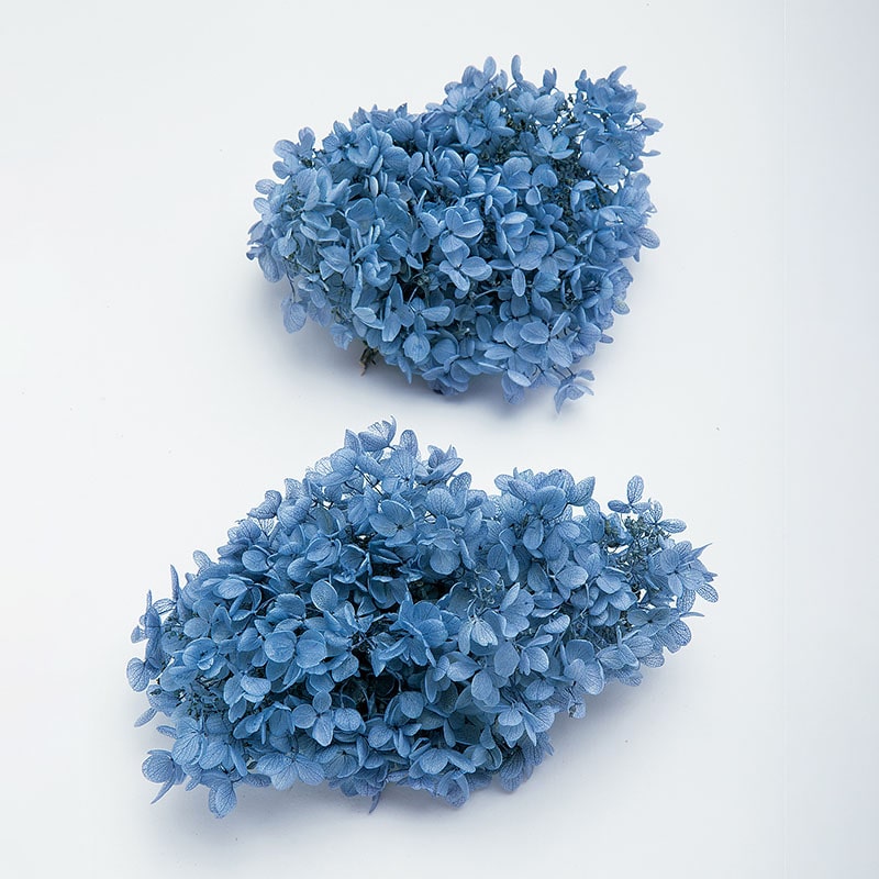 ロイヤルブルー