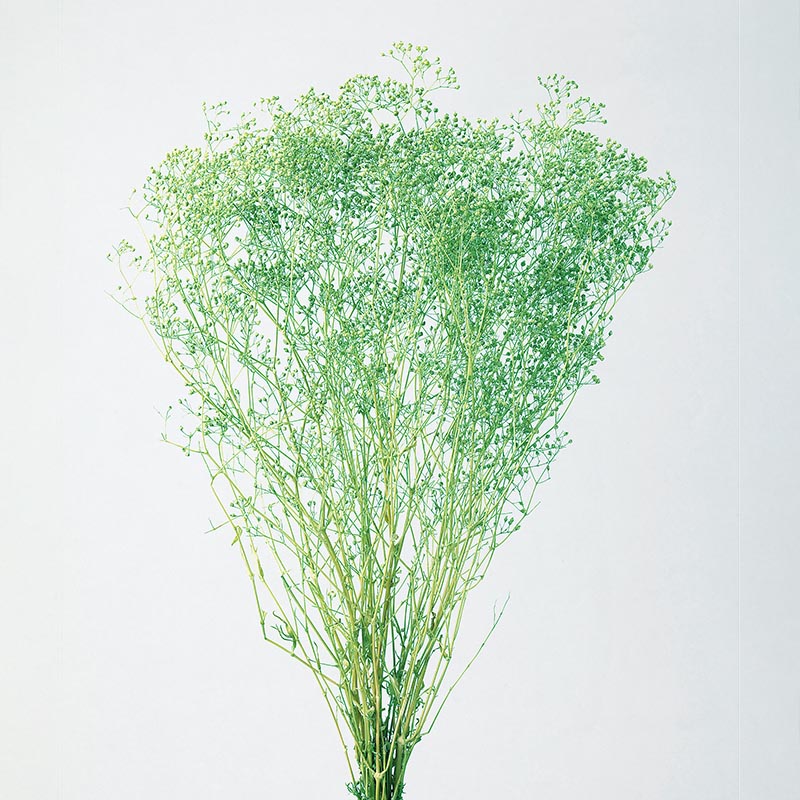 ヴェールグリーン