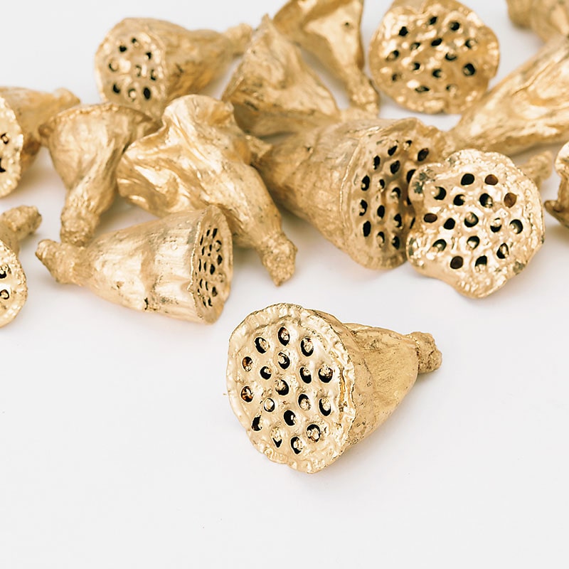 大地農園 木の実ミックス ミニハス 約4cm 22411-902 ゴールド 1袋(ご注文単位1袋)【直送品】