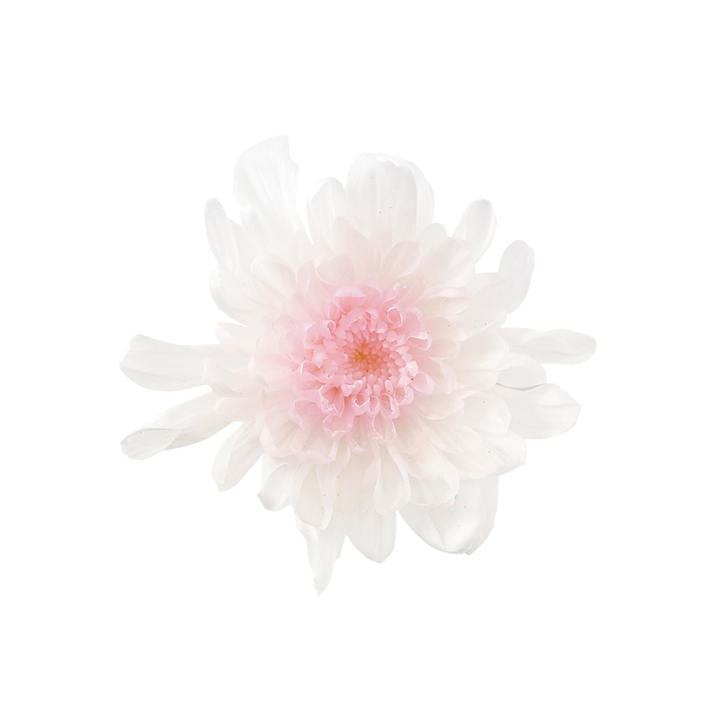 ホワイトピンク