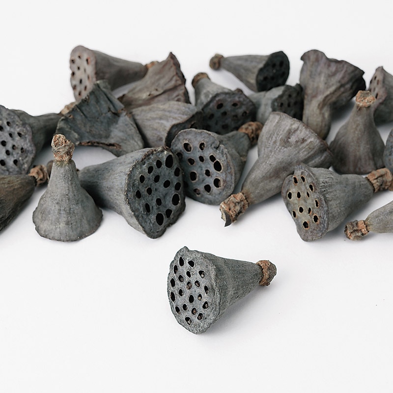 大地農園 木の実ミックス ミニハス 約2cm 22420-000 1個(ご注文単位1個)【直送品】