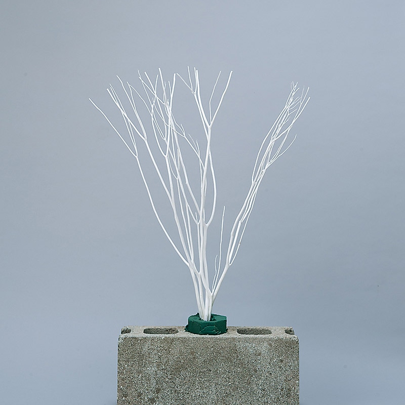 大地農園 プリザーブドフラワー 三又ソフト　ショート 52381-011　白 1個（ご注文単位1個）【直送品】