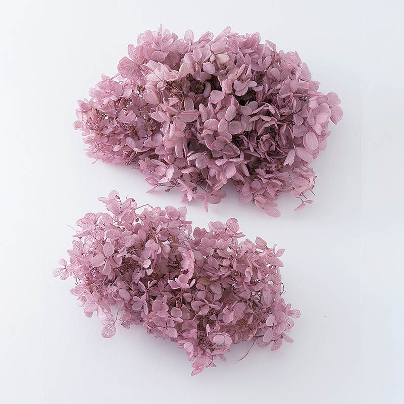 ミスティーピンク