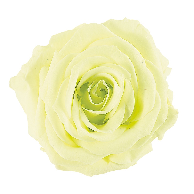 フレッシュグリーン