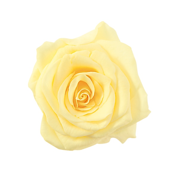 モーニングイエロー