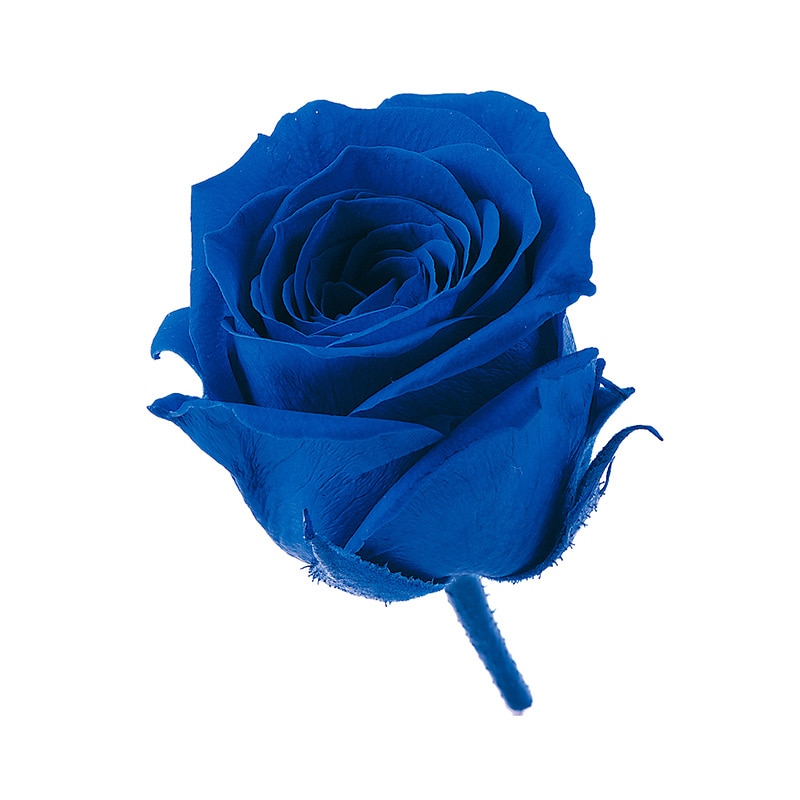 インディゴブルー