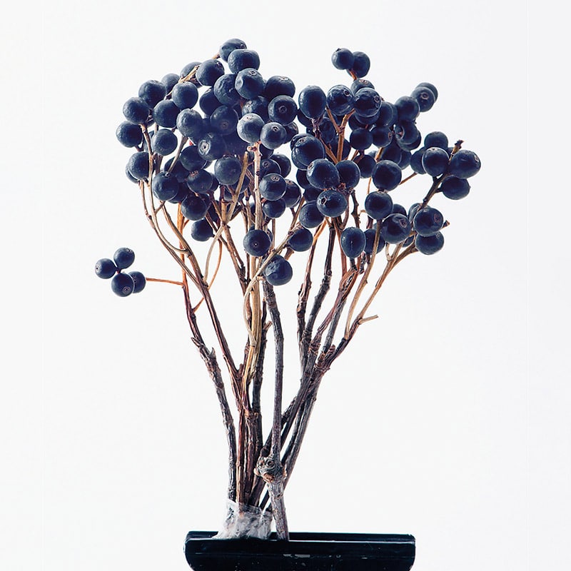 大地農園 ナチュラルドライフラワー シャリンバイ 40160-000 1束(ご注文単位1束)【直送品】