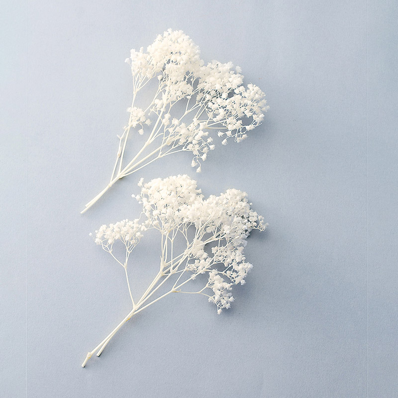 大地農園 プリザーブドフラワー カスミ草 ミリオンスター ヘッド 00030-011 白 1個(ご注文単位1個)【直送品】