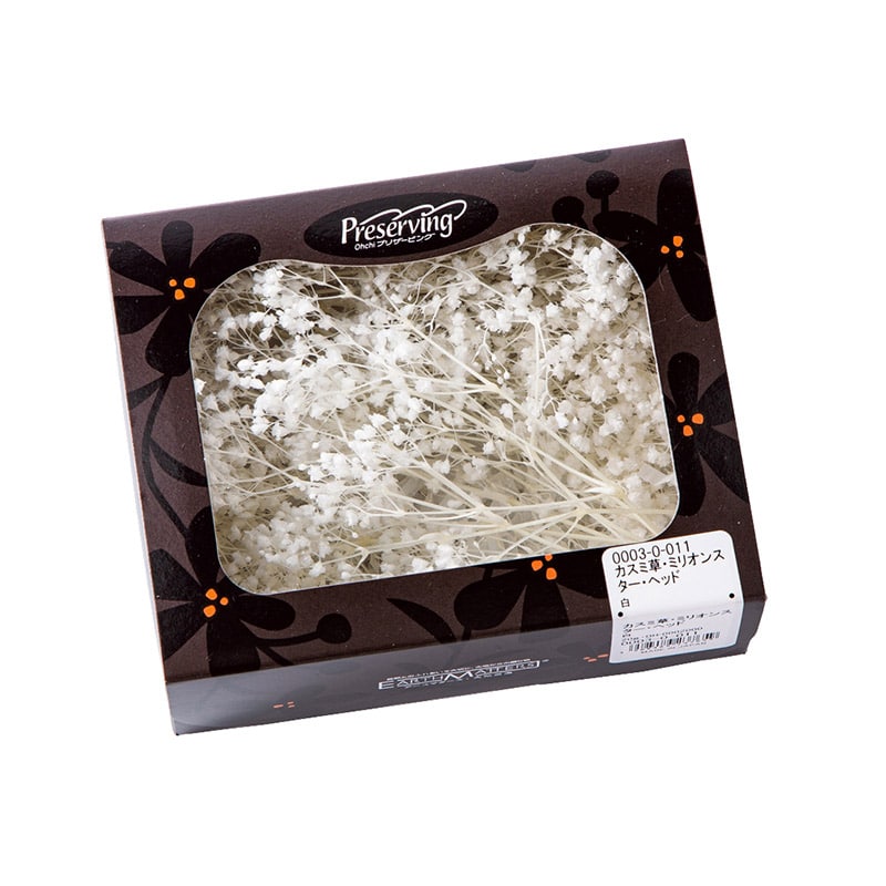 大地農園 プリザーブドフラワー カスミ草 ミリオンスター ヘッド 00030-011 白 1個(ご注文単位1個)【直送品】