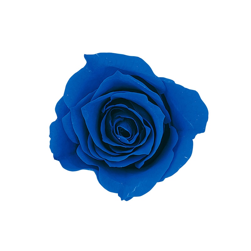 インディゴブルー