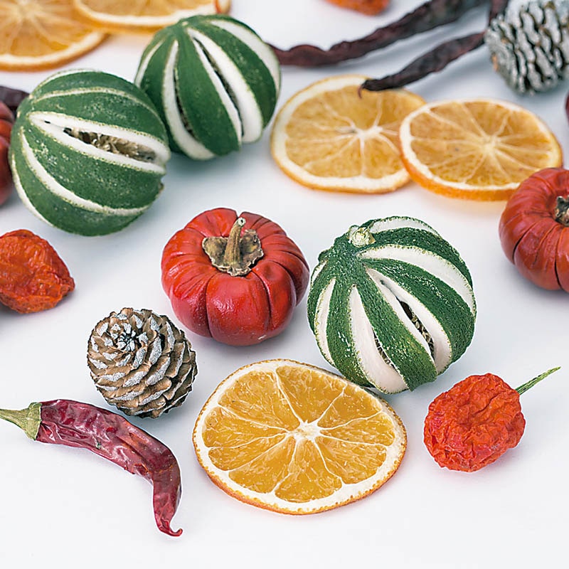 大地農園 アレンジ用フルーツ ミックスポプリ 21390-000 1袋(ご注文単位1袋)【直送品】