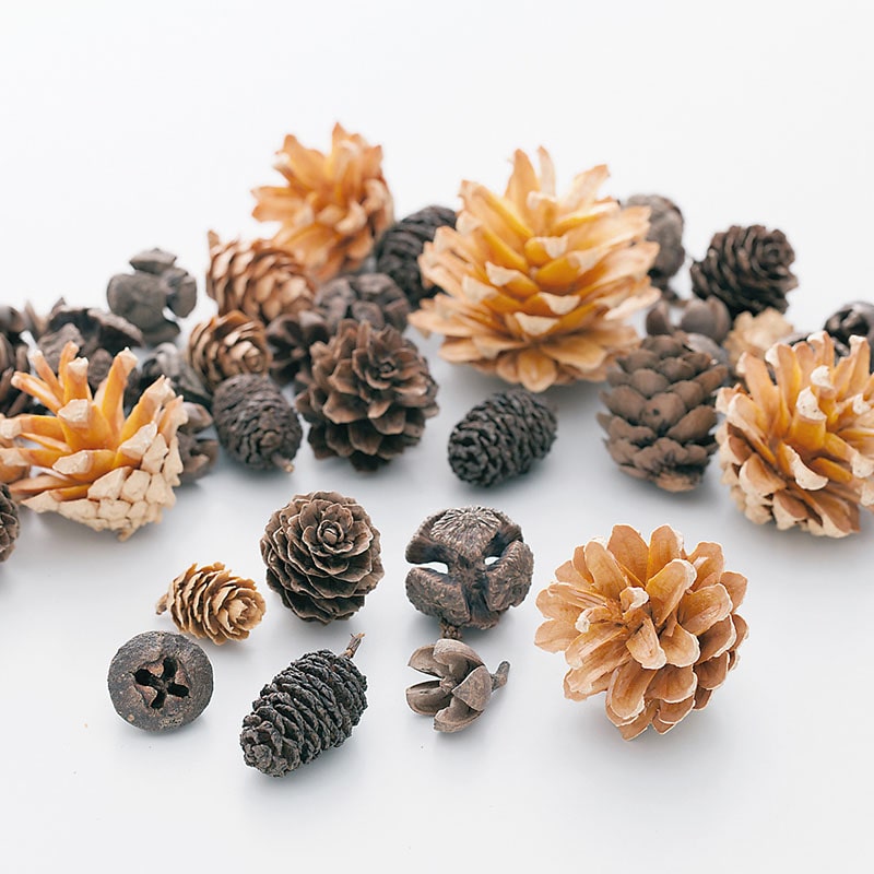 大地農園 木の実ミックス コーンアソート 24884-000 1袋(ご注文単位1袋)【直送品】