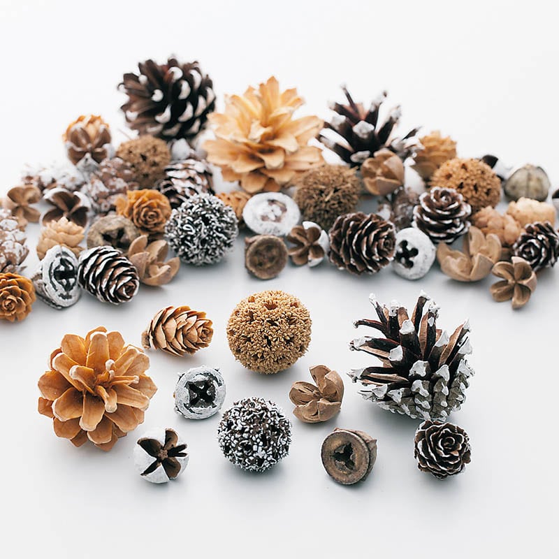 >大地農園 木の実ミックス コーンアソート 24884-030 スノーベージュ 1袋(ご注文単位1袋)【直送品】