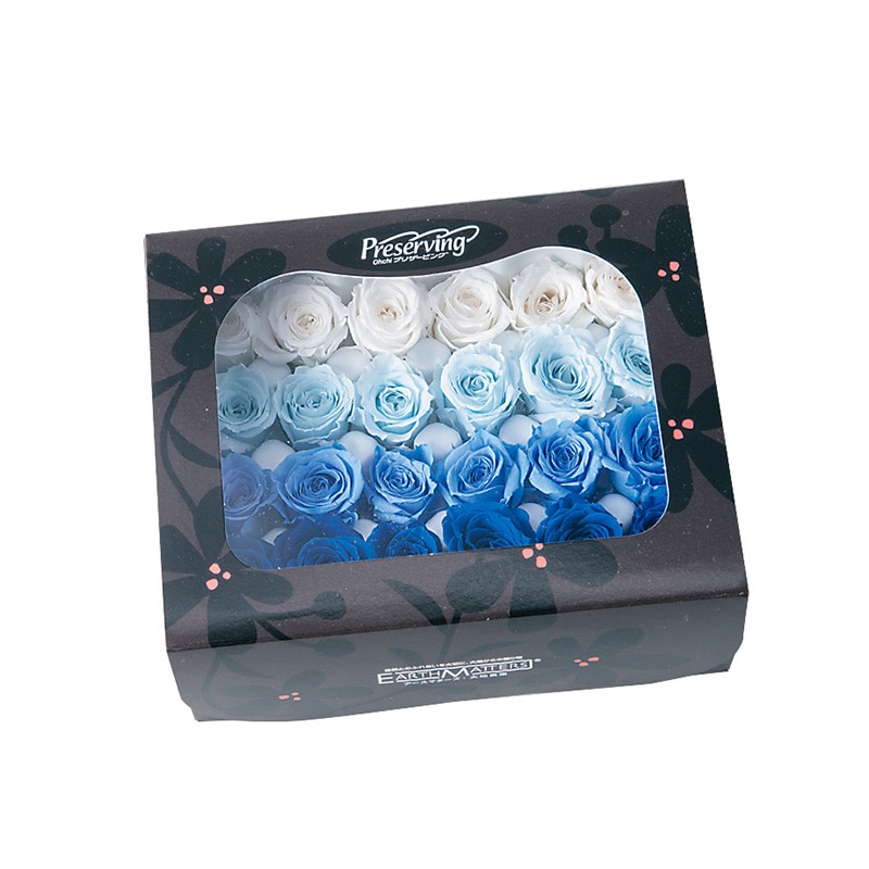 ブルーミックス