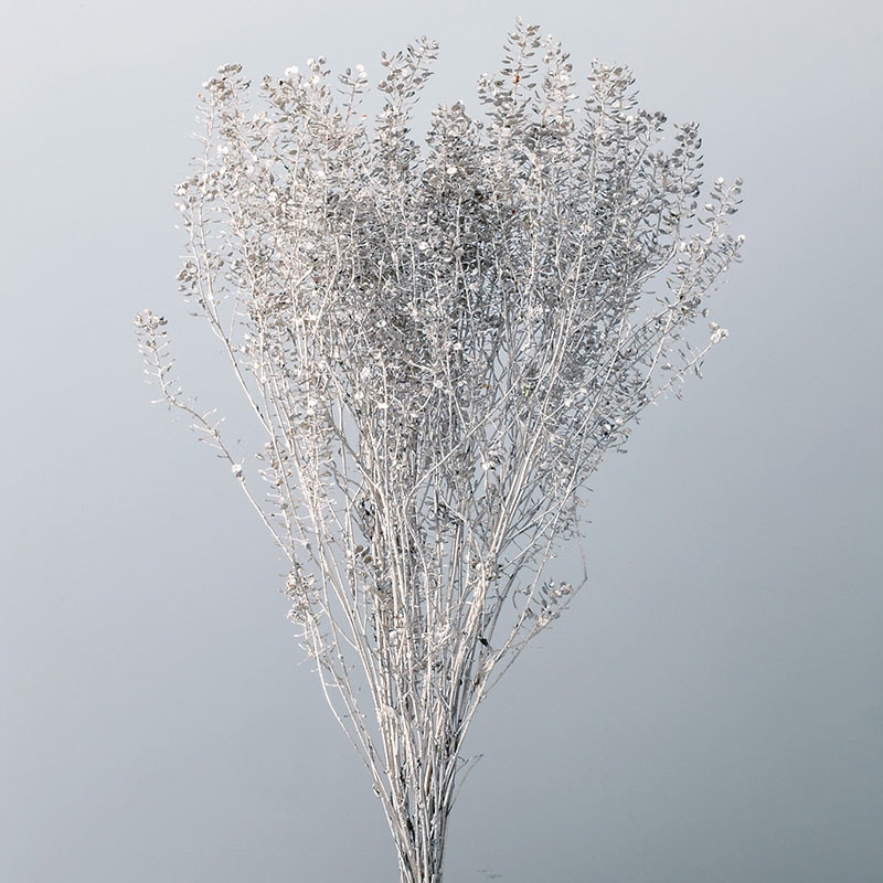 大地農園 デザインペイント ペティーコート 04050－932　プラチナ 1束（ご注文単位1束）【直送品】