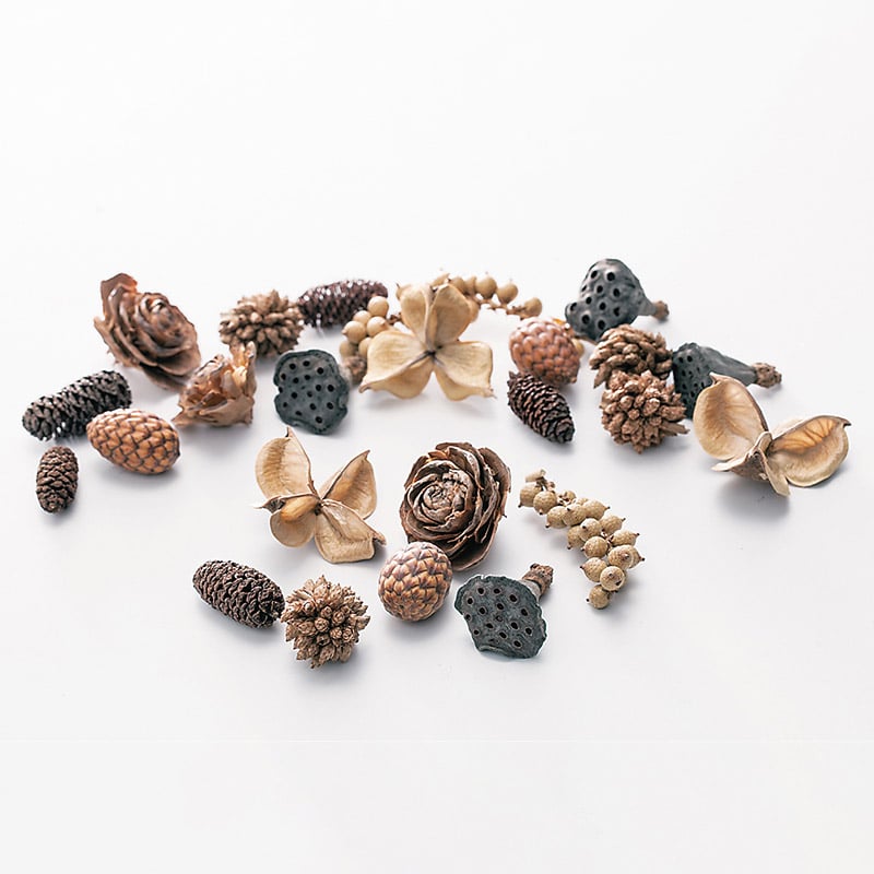 大地農園 木の実ミックス ミックスコーン 24890-000 1袋(ご注文単位1袋)【直送品】