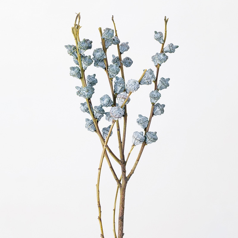 大地農園 ナチュラルドライフラワー ユーカリ グロボラス 40230-000 1束(ご注文単位1束)【直送品】