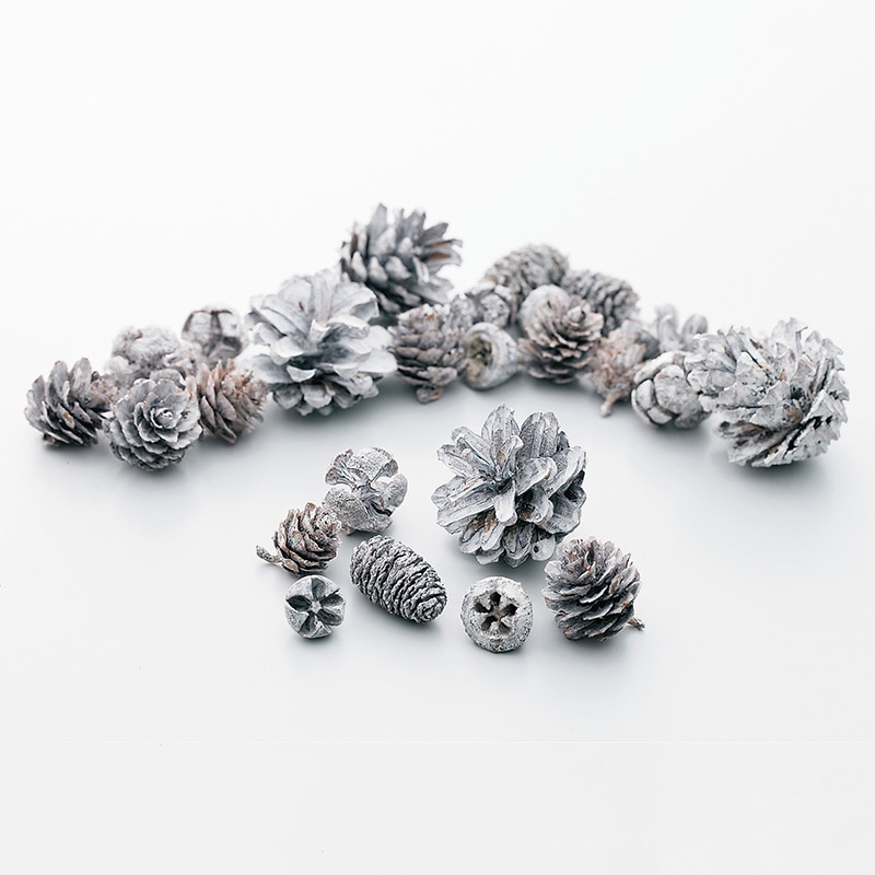 >大地農園 木の実ミックス コーンアソート 24884-010 ウォッシュホワイト 1袋(ご注文単位1袋)【直送品】