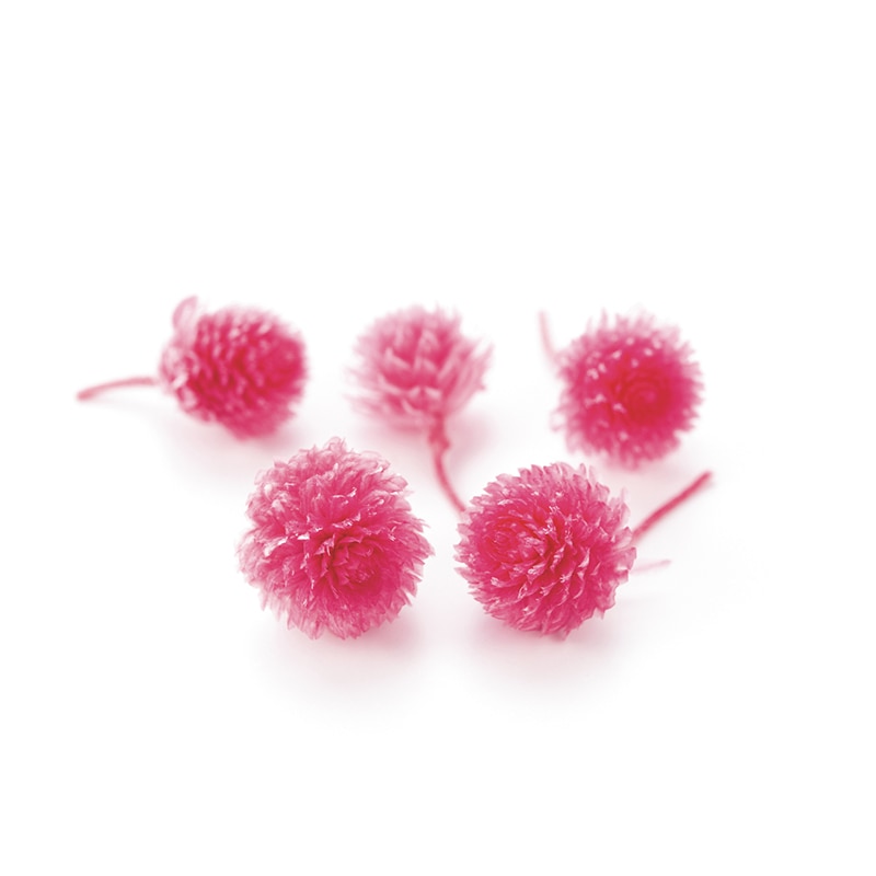 プリンセスピンク