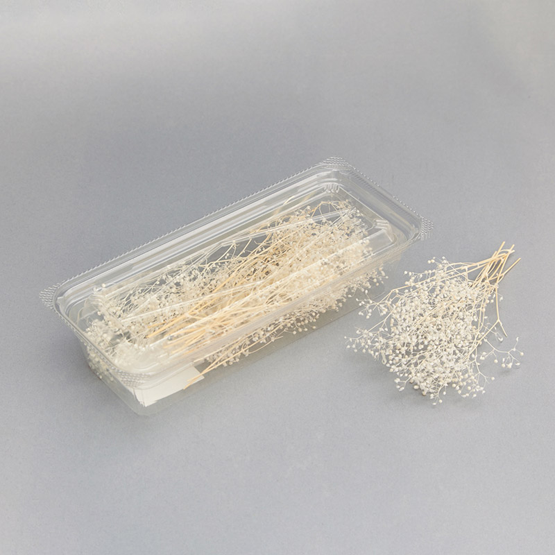 大地農園 プリザーブドフラワー ソフトミニカスミ草 ヘッド 00013-010 白 1箱(ご注文単位1箱)【直送品】