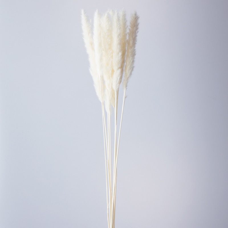 大地農園 ナチュラルドライ テールリード 51340-011 白 1個(ご注文単位1個)【直送品】