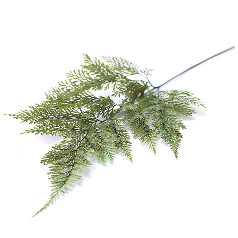 大地農園 プリザーブドグリーン タバリアファーン 03720-700 グリーン 1束(ご注文単位1束)【直送品】