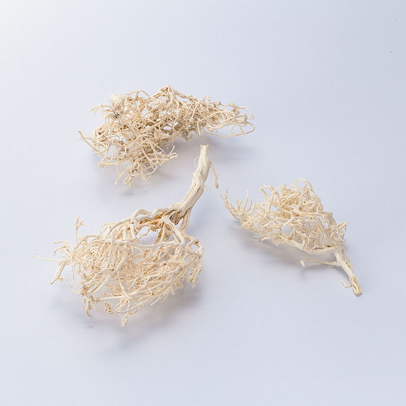 大地農園 デザインパーツ ドライブッシュ 51660-010　白 1袋（ご注文単位1袋）【直送品】