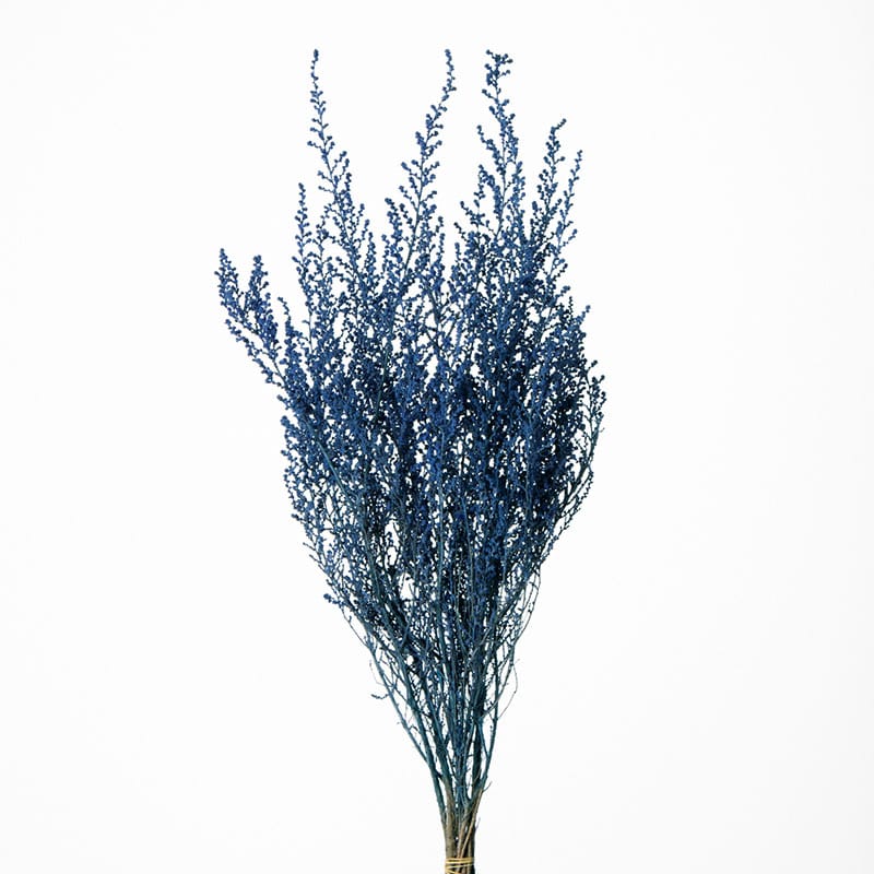 パウダーブルー