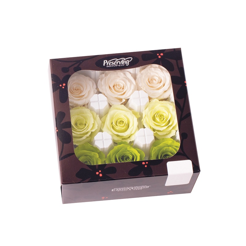 大地農園 プリザーブドローズ かのん　M 05207-770　グリーンミックス 1箱（ご注文単位1箱）【直送品】