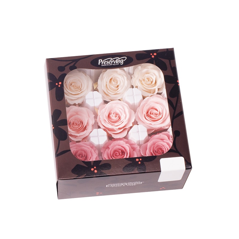 大地農園 プリザーブドローズ かのん　M 05207-150　ホワイト／ピンク 1箱（ご注文単位1箱）【直送品】