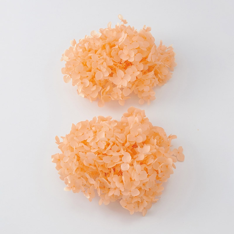 ジュリアオレンジ