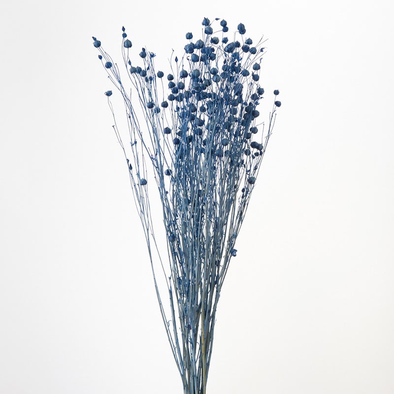 大地農園 カラードライフラワー リンフラワー 35010-681 コバルトブルー 1束(ご注文単位1束)【直送品】