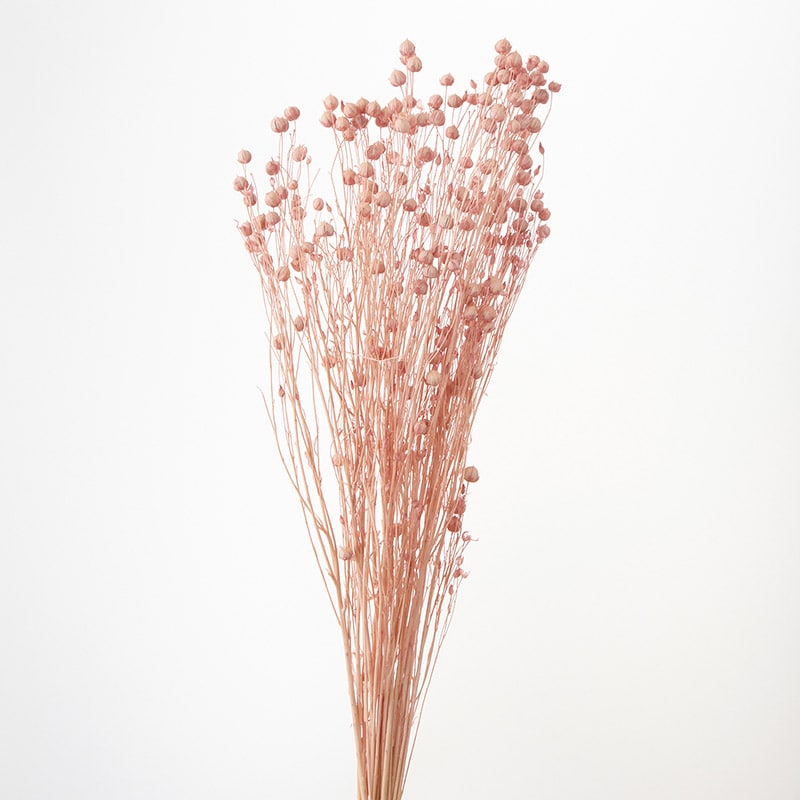 大地農園 カラードライフラワー リンフラワー 35010-161　シルキーピンク 1束（ご注文単位1束）【直送品】