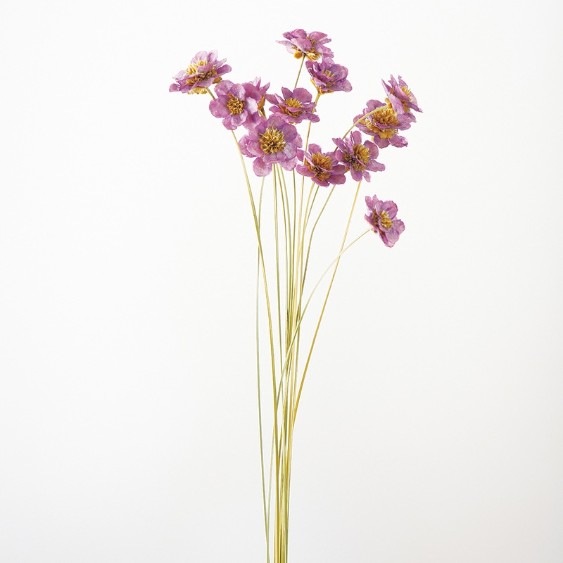 大地農園 ハンドメイドフラワー アネモネフラワー 32360-140　ライラックピンク 1束（ご注文単位1束）【直送品】