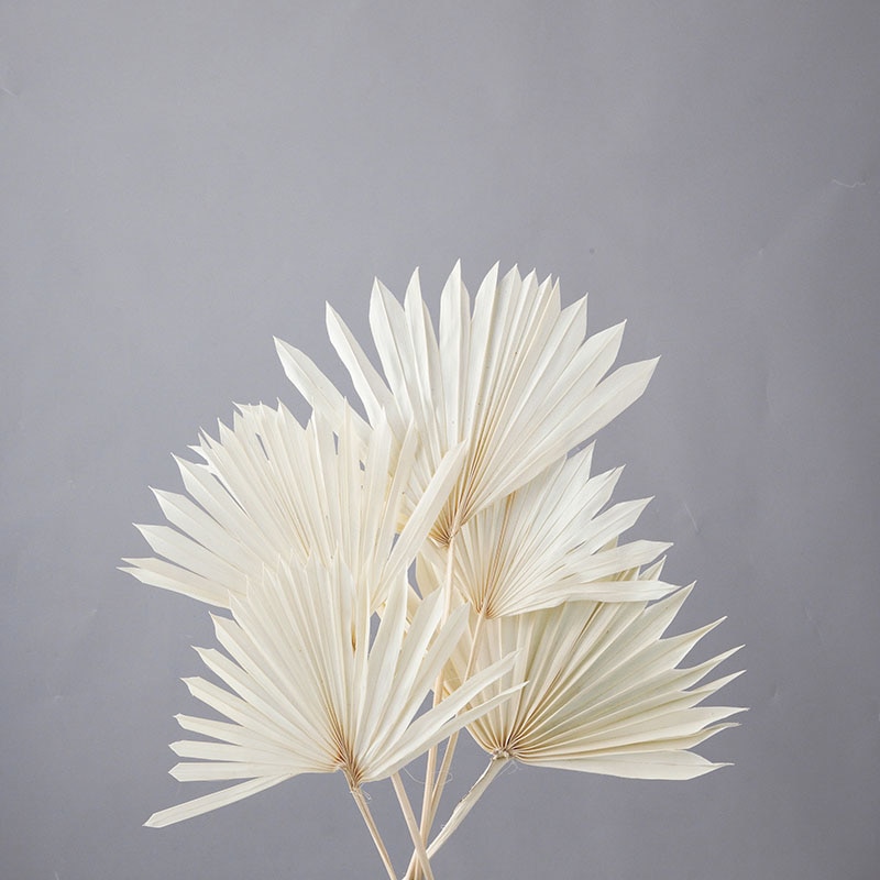 大地農園 ナチュラルドライ パームサンリーフ 54050-011 オフホワイト 1束(ご注文単位1束)【直送品】