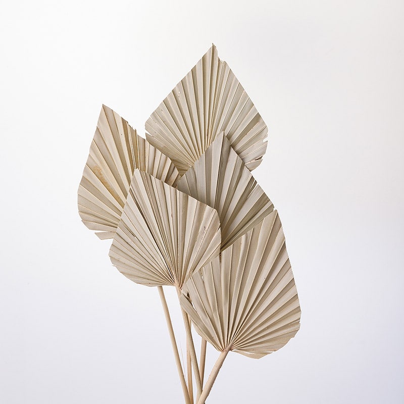 大地農園 ナチュラルドライ パームスペード 54060-000 1束(ご注文単位1束)【直送品】