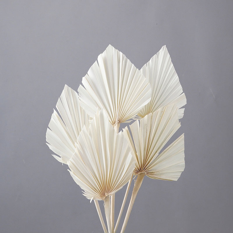 大地農園 ナチュラルドライ パームスペード 54060-011 オフホワイト 1束(ご注文単位1束)【直送品】