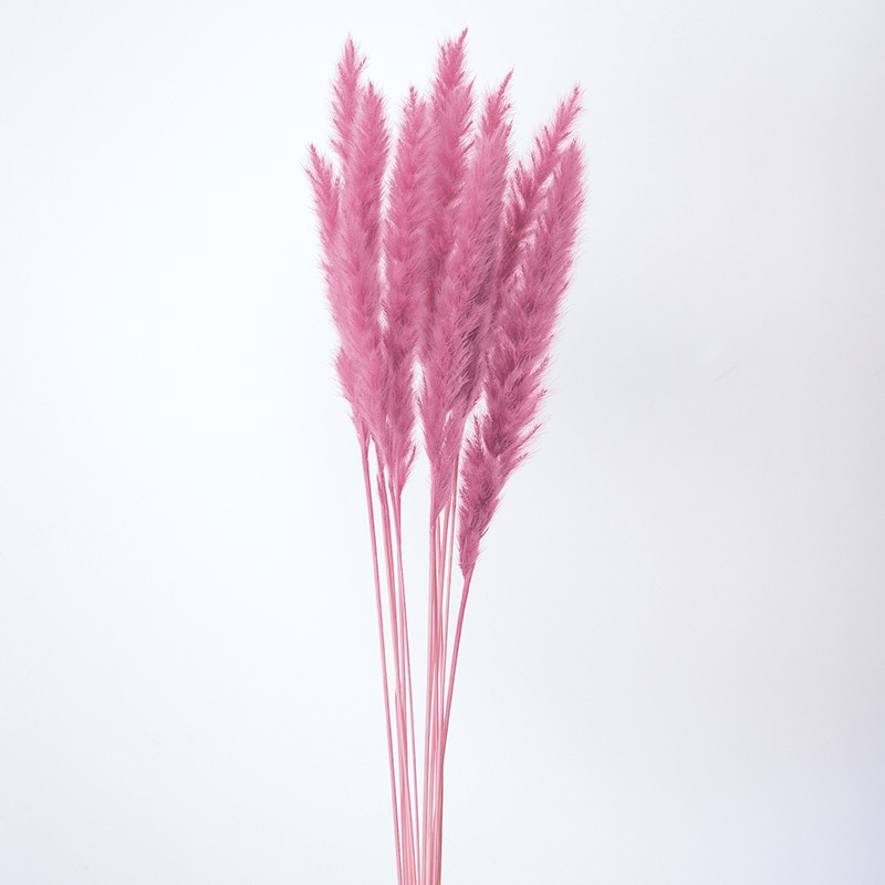 大地農園 ナチュラルドライ テールリード ミニ 51345-271 カーニバルルージュ 1束(ご注文単位1束)【直送品】