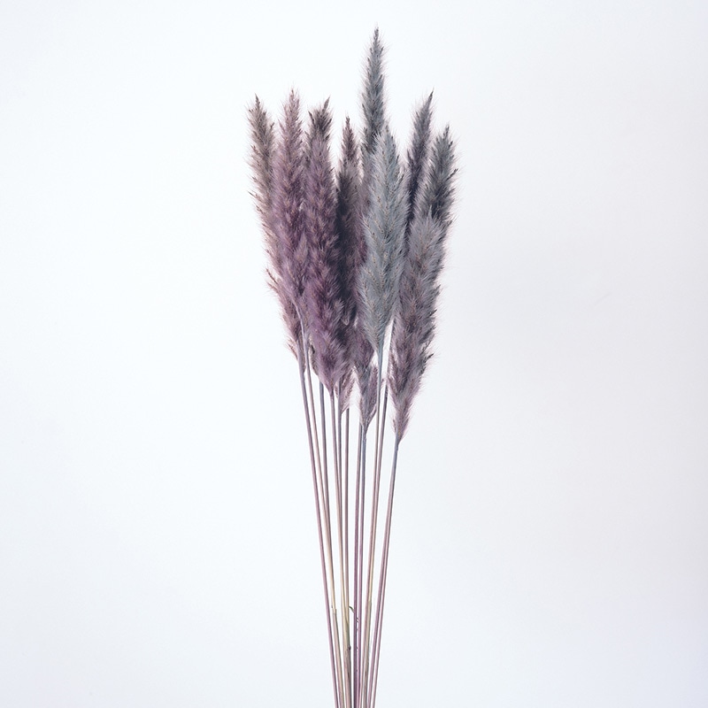 大地農園 ナチュラルドライ テールリード ミニ 51345-660 ナチュラルブルー 1束(ご注文単位1束)【直送品】