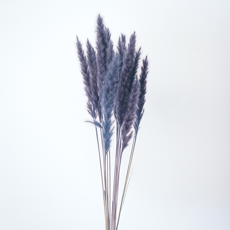 大地農園 ナチュラルドライ テールリード ミニ 51345-680 コバルトブルー 1束(ご注文単位1束)【直送品】